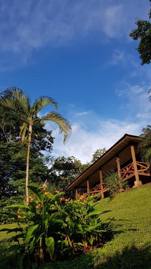 Baliyana Lodge San José Pinilla Exterior foto